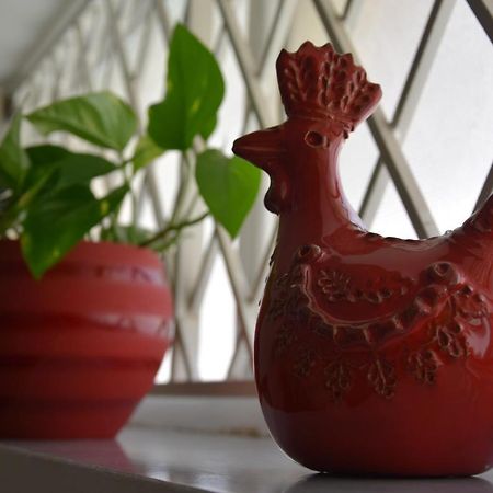 B&B Casa Morgana Olbia Dış mekan fotoğraf